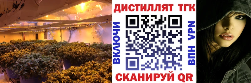 купить наркотики цена  Лукоянов  ТГК гашишное масло 