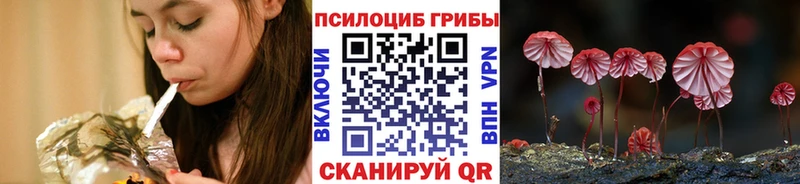 Псилоцибиновые грибы мицелий  Лукоянов 