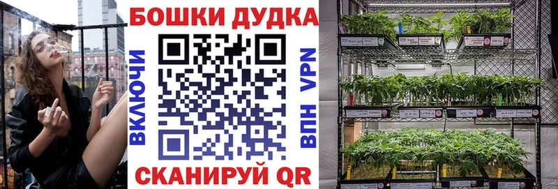 Конопля гибрид  купить наркоту  Лукоянов 